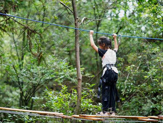 樹上探險(xiǎn)