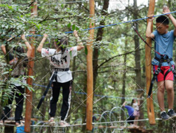 樹(shù)上探險(xiǎn)